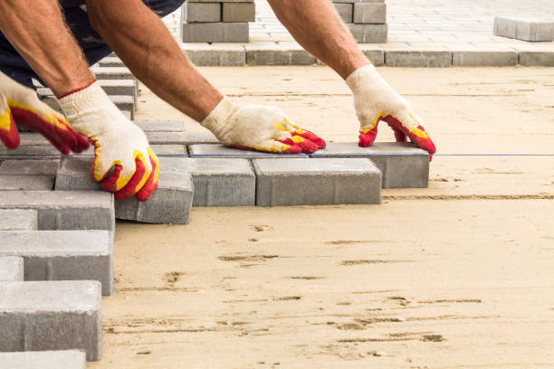 Best Local Driveway Pavers  in Long Lake, MN