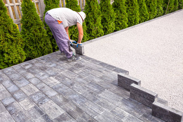 Best Driveway Paving Contractor  in Long Lake, MN